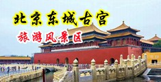 视频鸡巴黄色片姣好吧中国北京-东城古宫旅游风景区